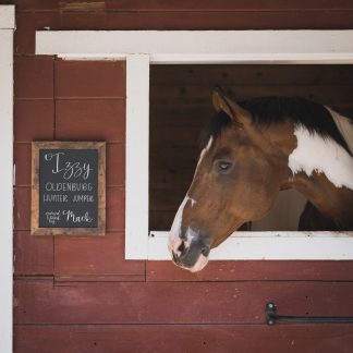 Izzy stable sign