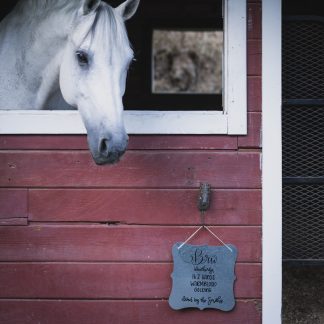 Tin Plaque